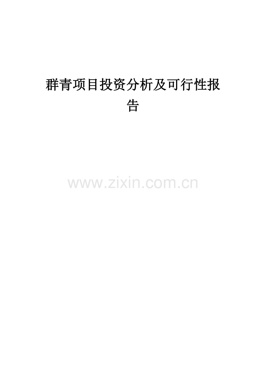 2024年群青项目投资分析及可行性报告.docx_第1页