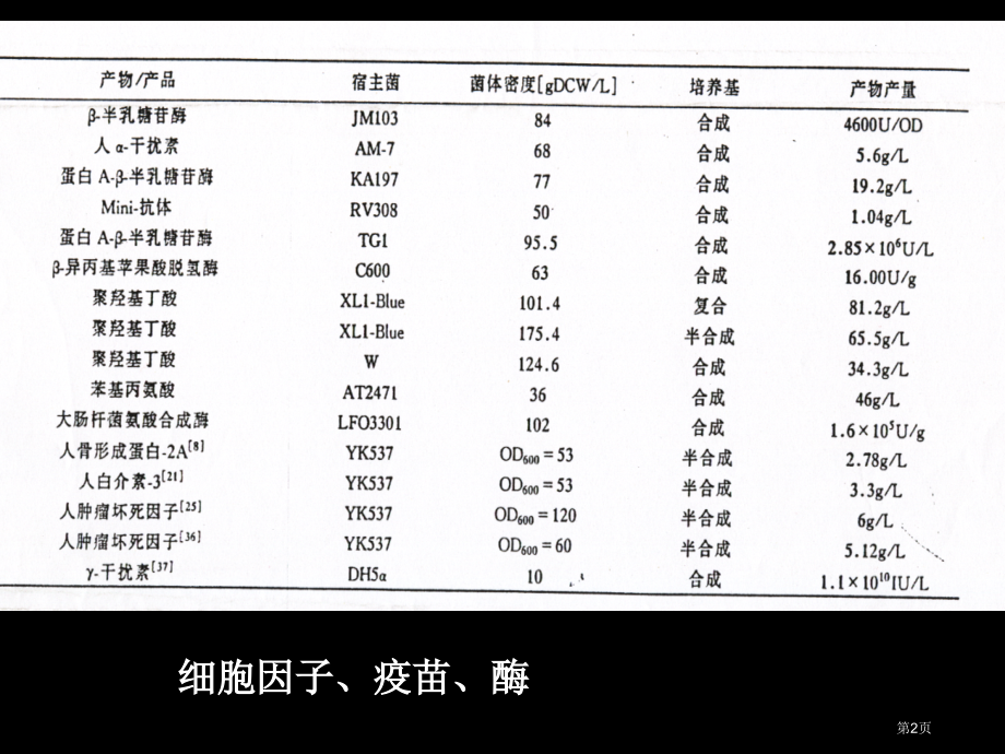 发酵基因工程菌.pptx_第2页