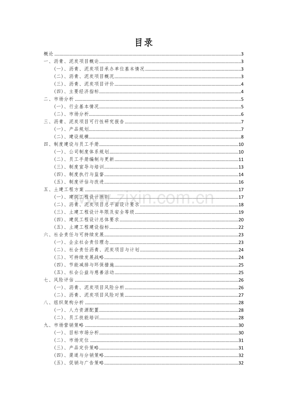 2024年沥青、泥炭项目投资分析及可行性报告.docx_第2页