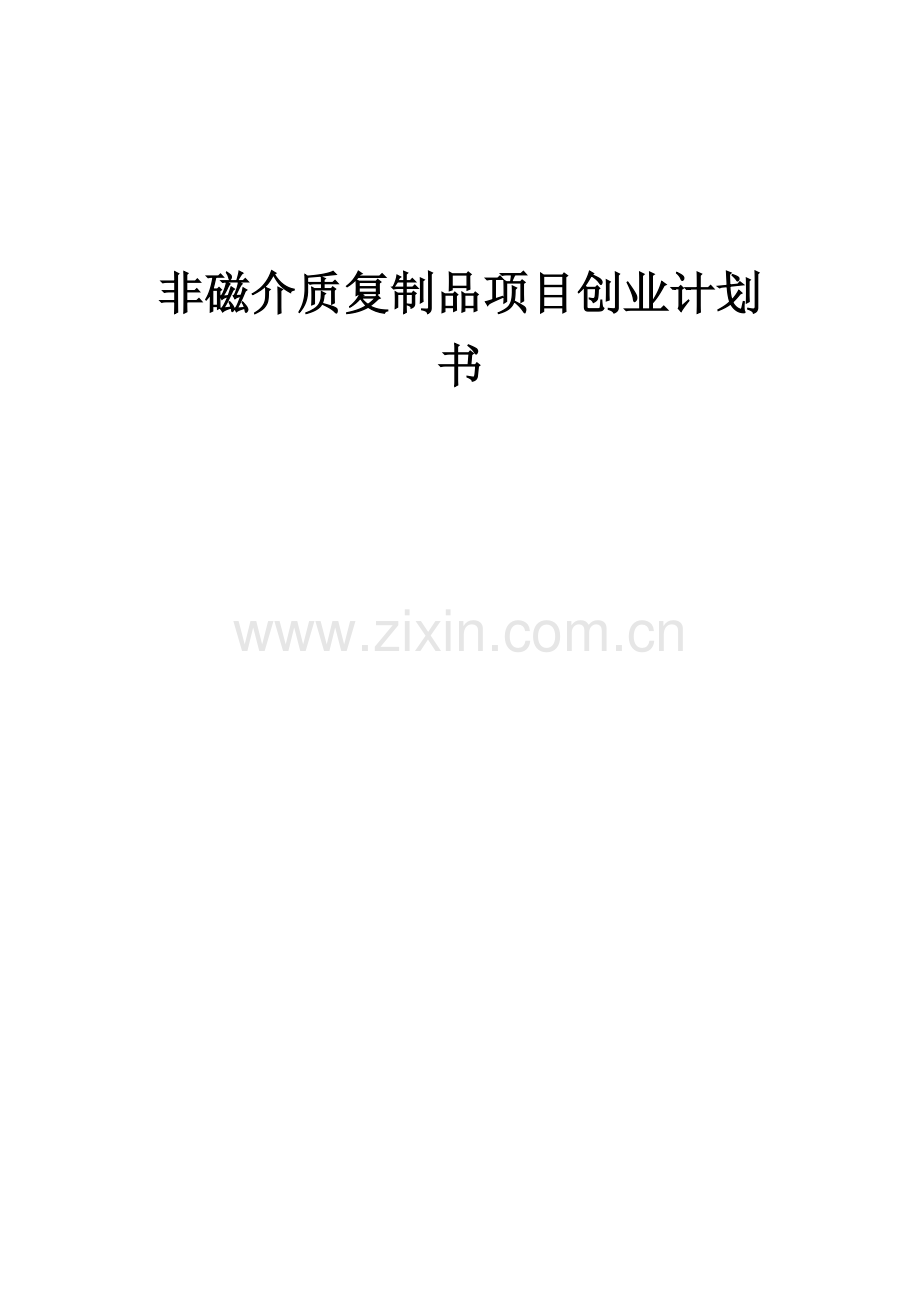 2025非磁介质复制品项目创业计划书.docx_第1页