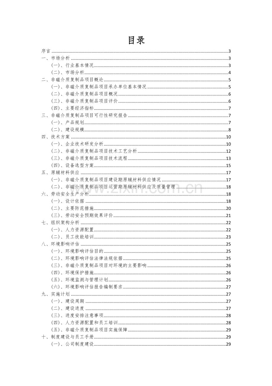 2025非磁介质复制品项目创业计划书.docx_第2页