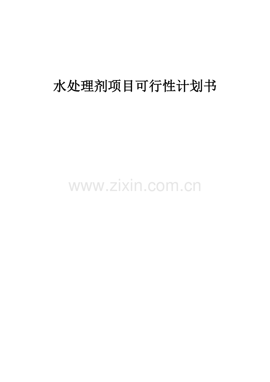 2025年度水处理剂项目可行性计划书.docx_第1页