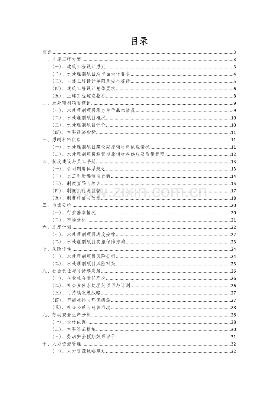 2025年度水处理剂项目可行性计划书.docx_第2页