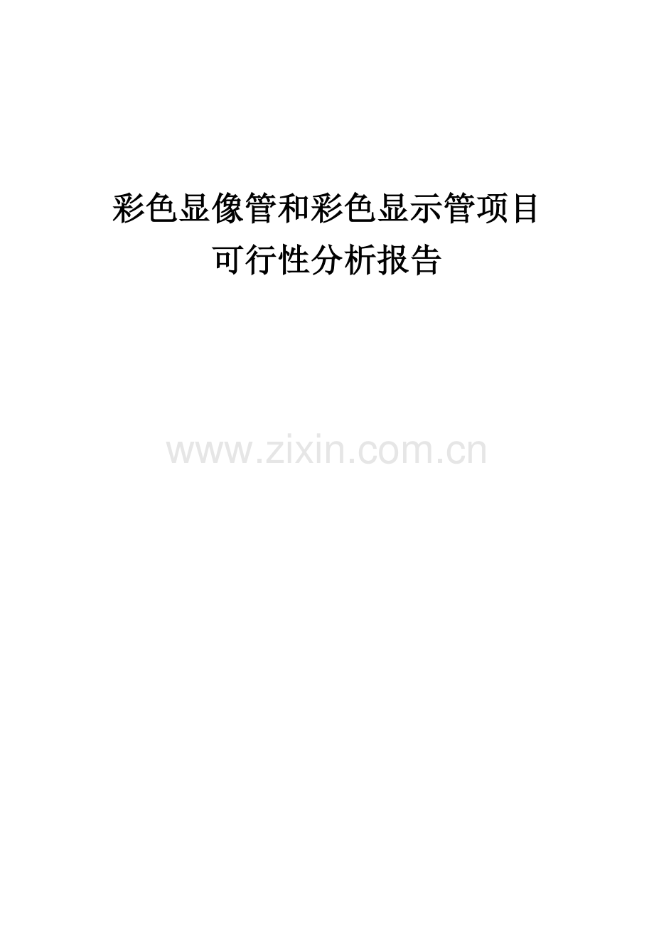 2024年彩色显像管和彩色显示管项目可行性分析报告.docx_第1页