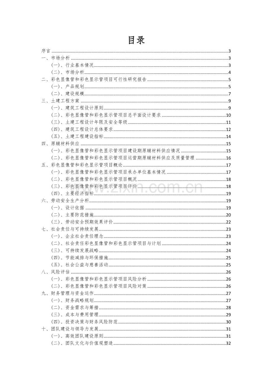 2024年彩色显像管和彩色显示管项目可行性分析报告.docx_第2页