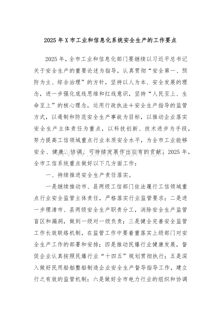 2025年X市工业和信息化系统安全生产的工作要点.docx_第1页