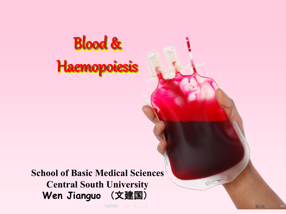 血液和血细胞发生.pptx_第1页