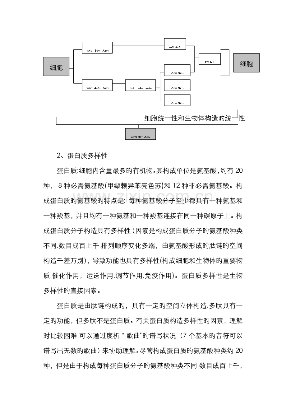 高中生物涉及的“多样性”(详细版).doc_第2页