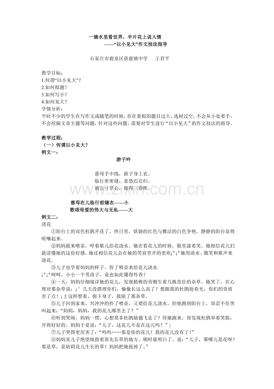 “以小见大”作文技法指导.doc_第1页