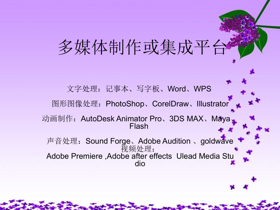 多媒体技术应用调查.ppt_第1页