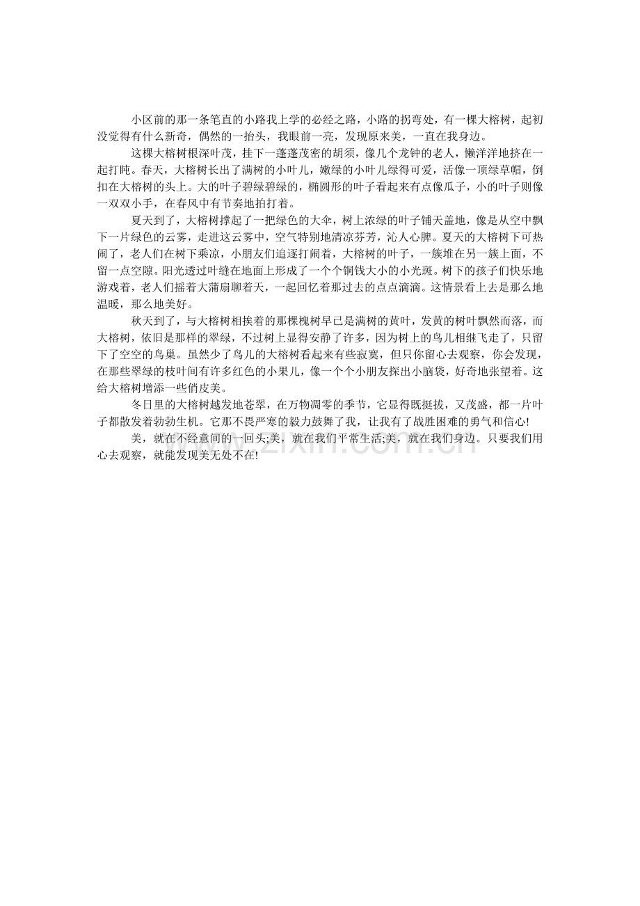 不经意的发现初中作文.doc_第1页