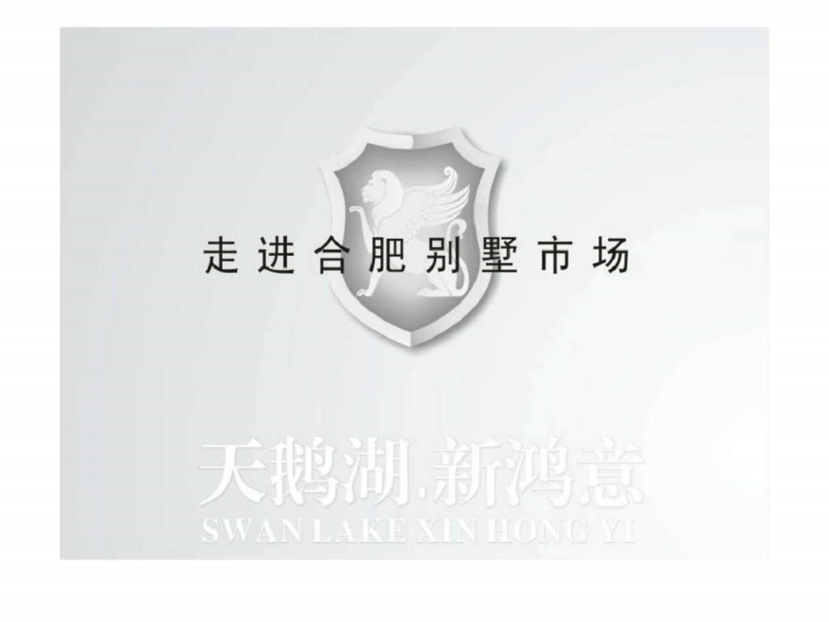 新鸿地产意天湖别墅营销提案.ppt_第1页