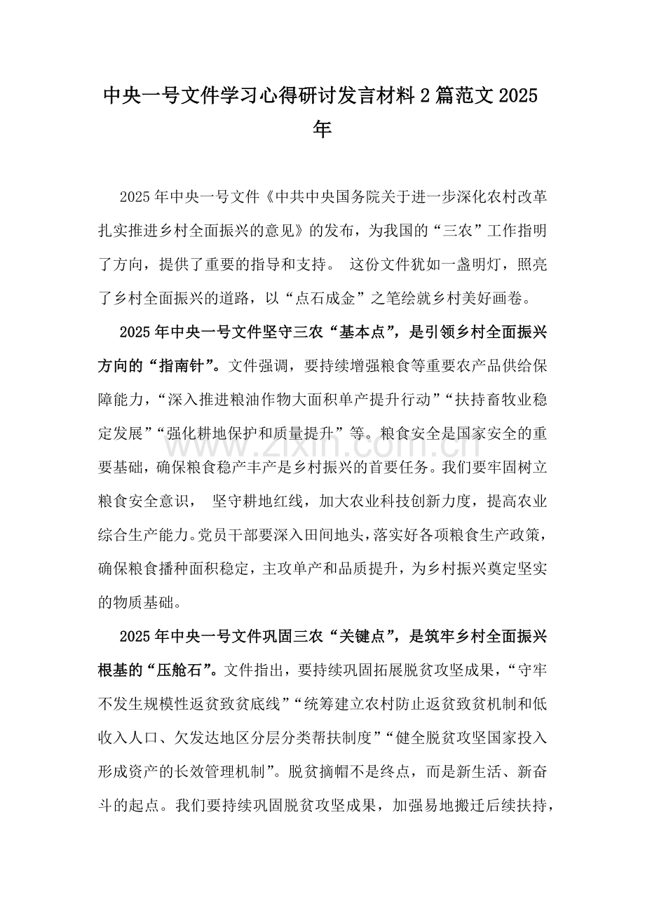 中央一号文件学习心得研讨发言材料2篇范文2025年.docx_第1页