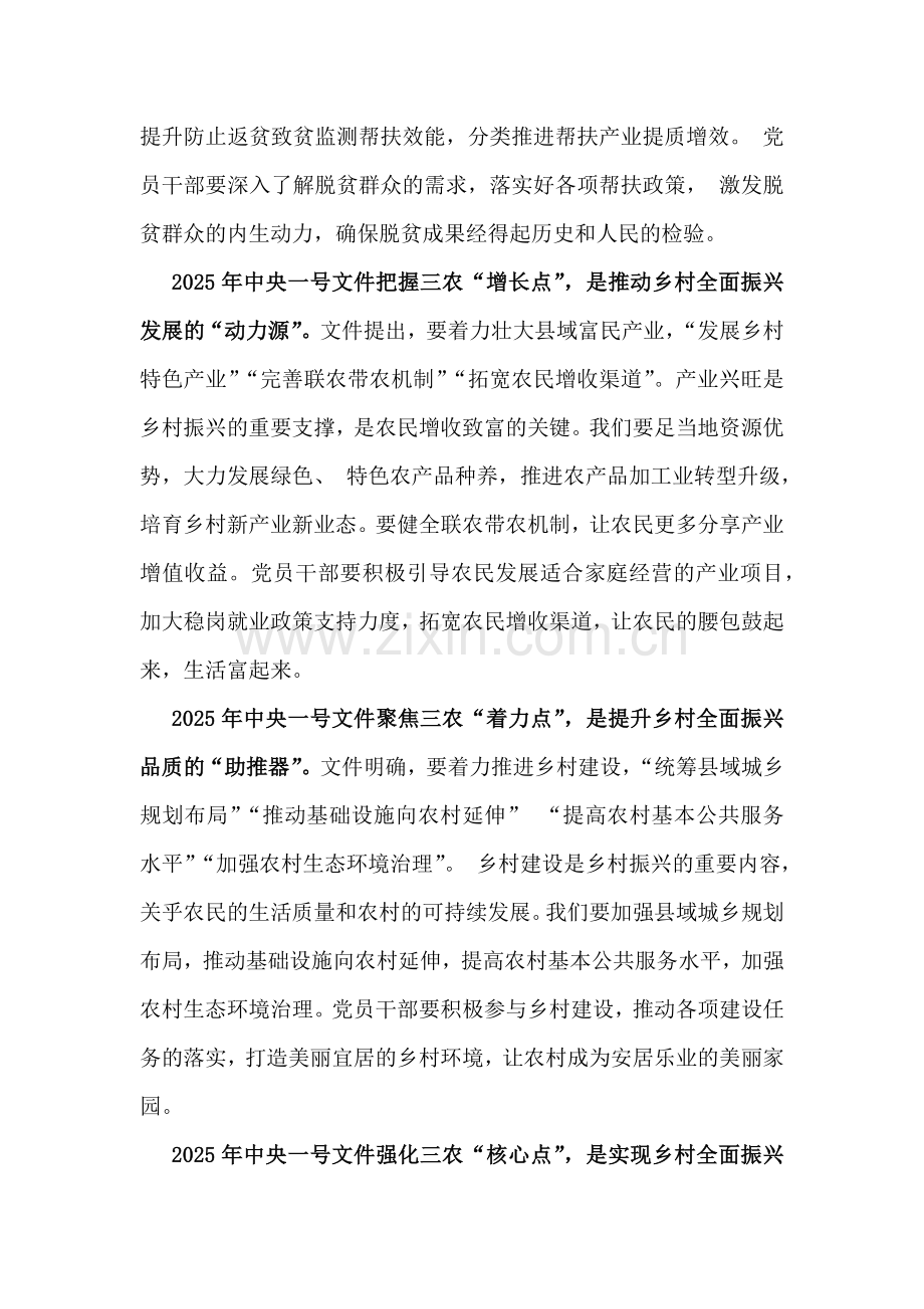 中央一号文件学习心得研讨发言材料2篇范文2025年.docx_第2页