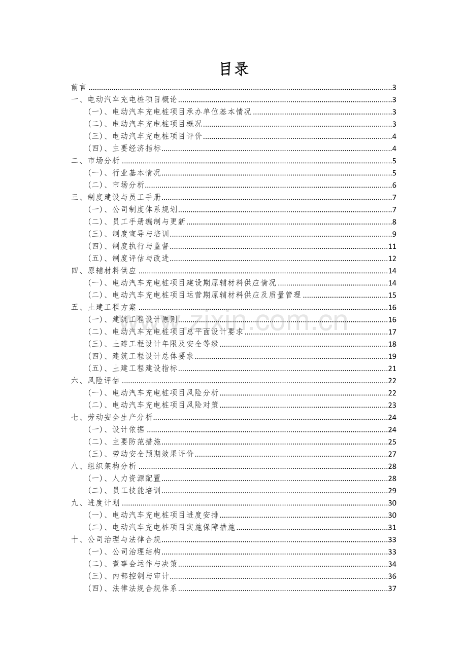 2025年度电动汽车充电桩项目可行性计划书.docx_第2页