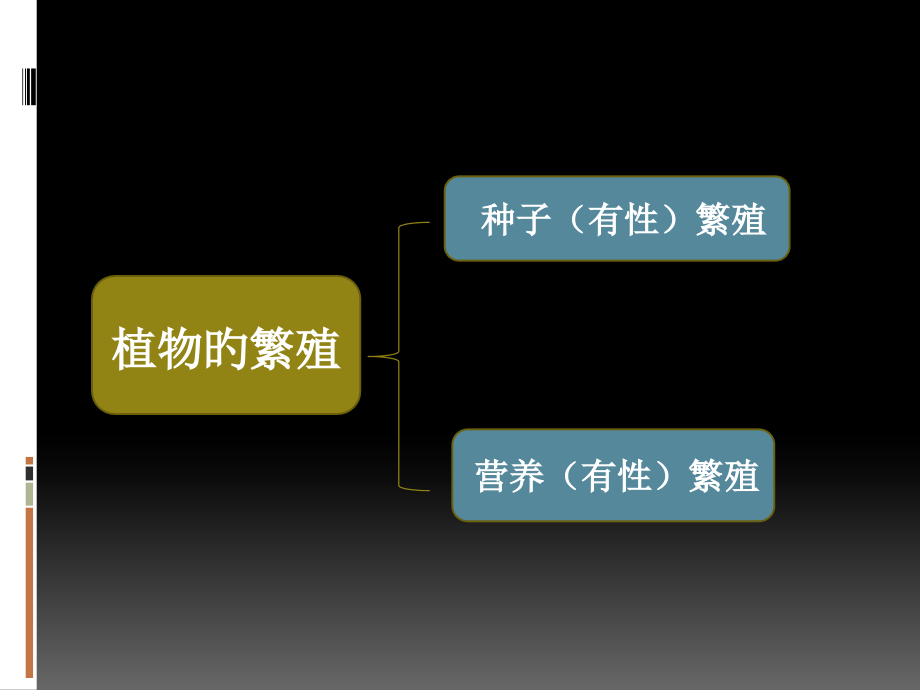植物的无性繁殖.pptx_第2页