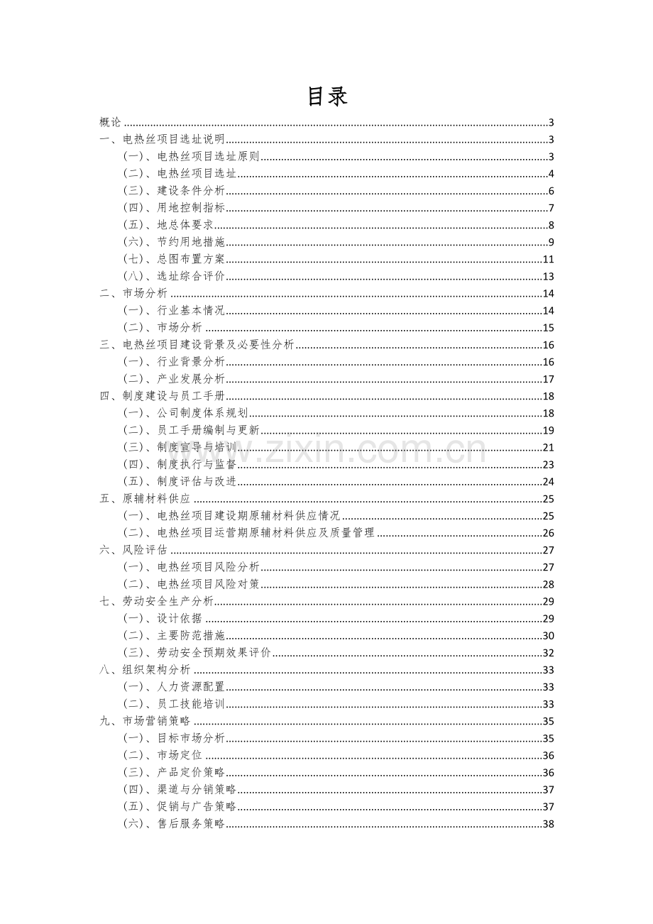 2025电热丝项目可行性方案.docx_第2页