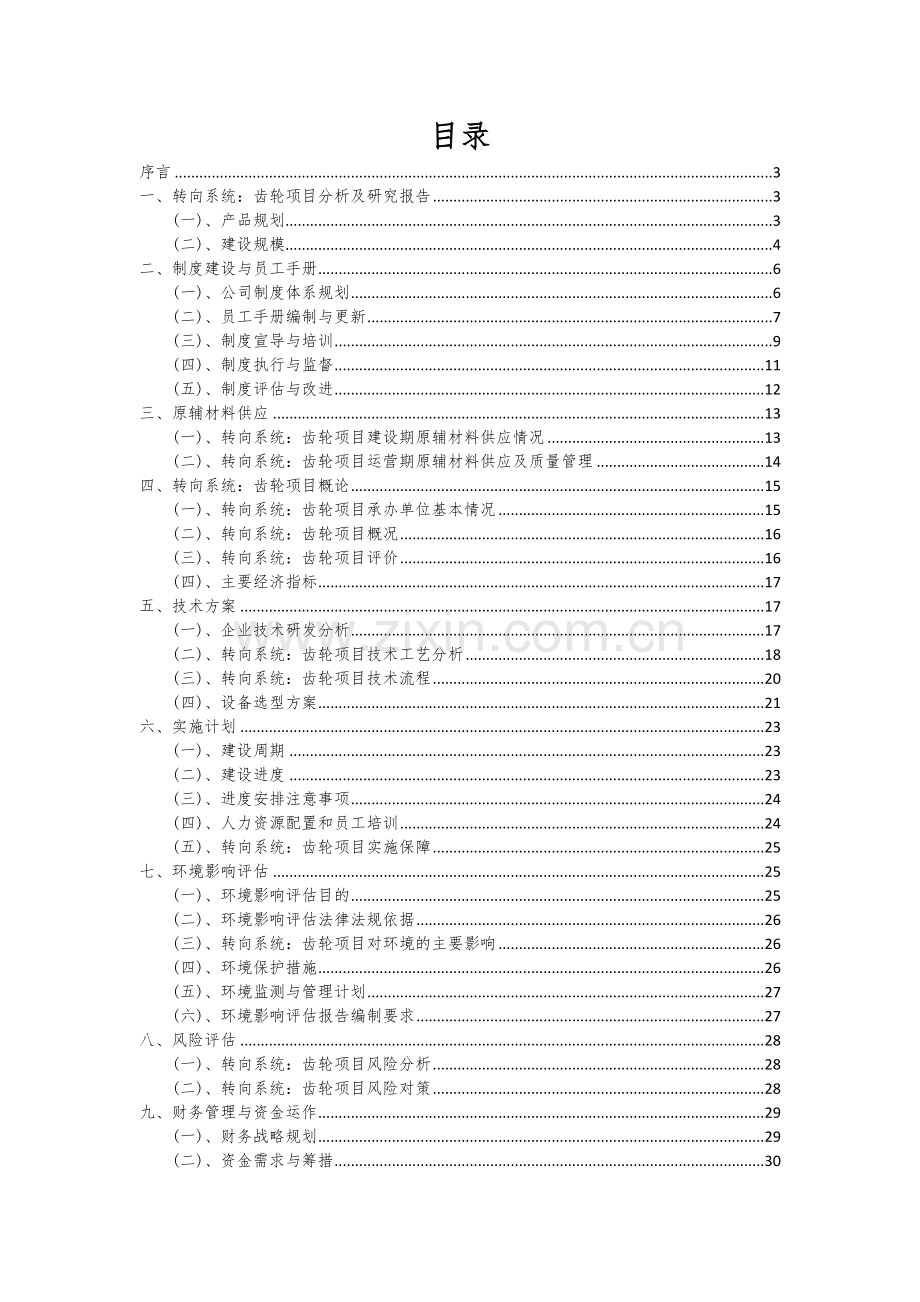 2025年转向系统：齿轮项目分析及研究报告.docx_第2页