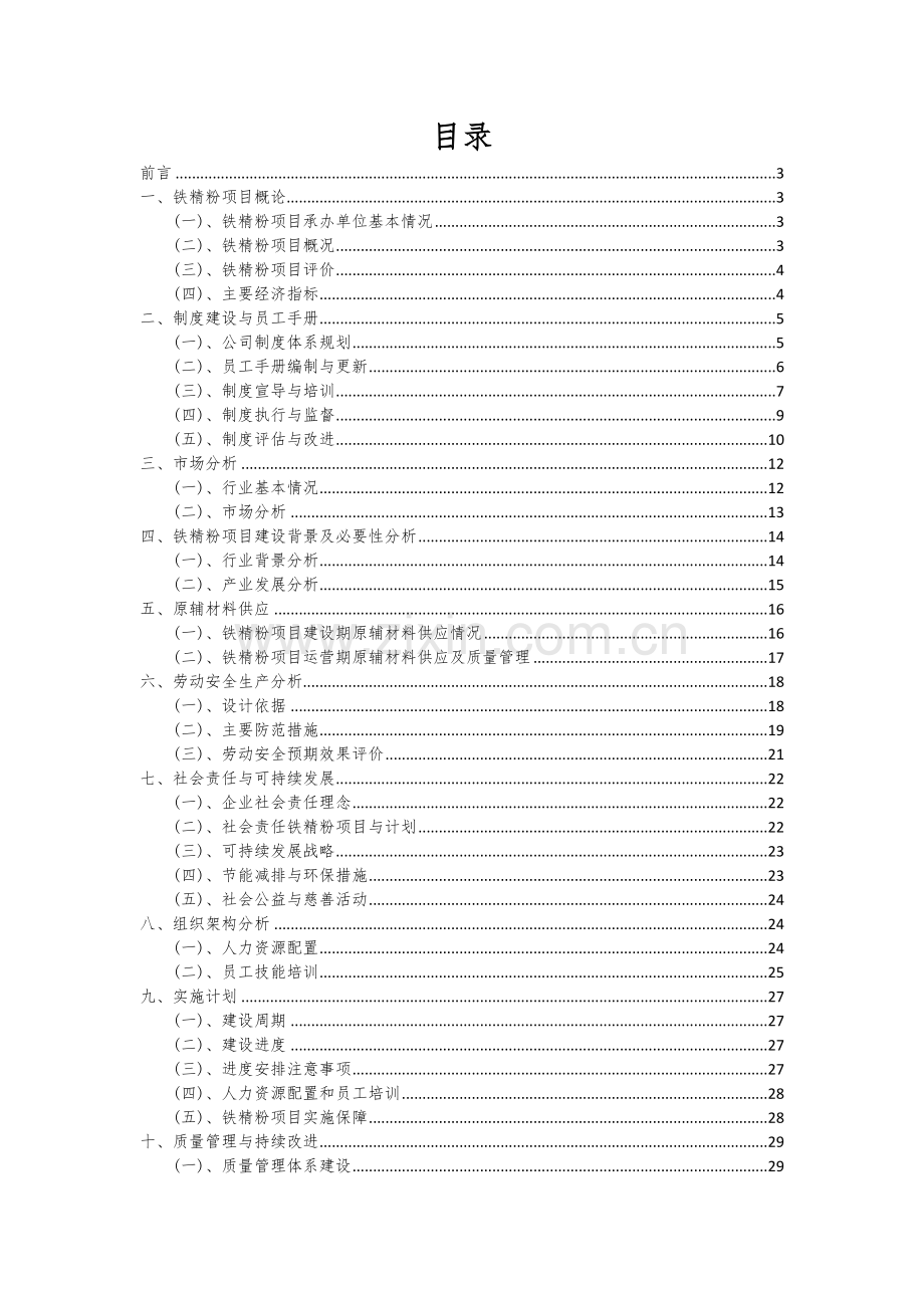 2024年铁精粉项目深度研究分析报告.docx_第2页