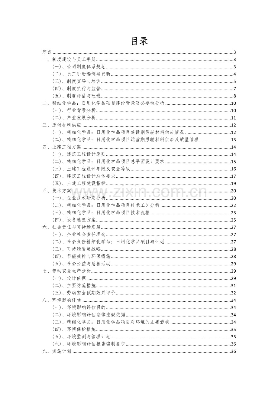 2024年精细化学品：日用化学品项目可行性分析报告.docx_第2页