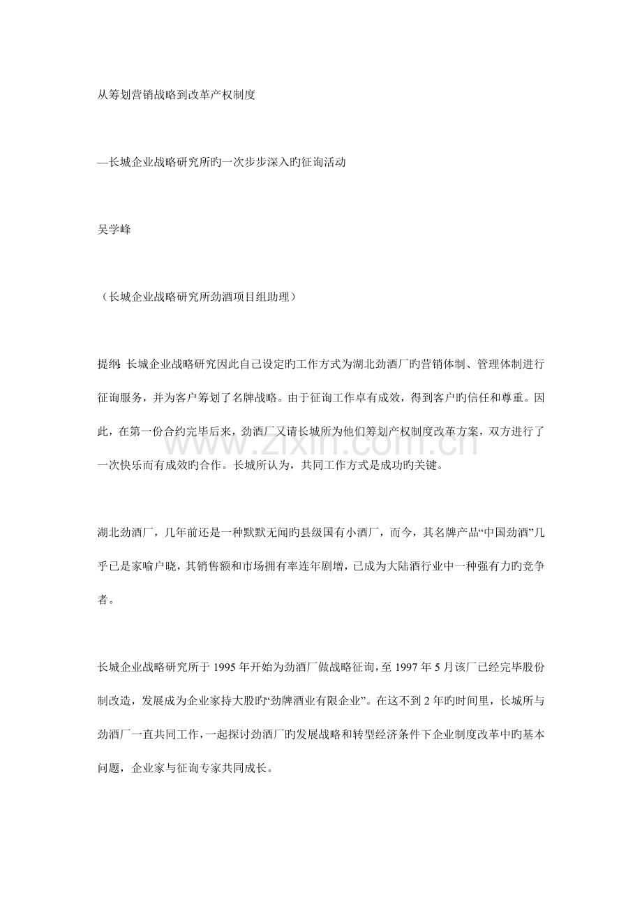 从策划营销战略到改革产权制度.doc_第1页