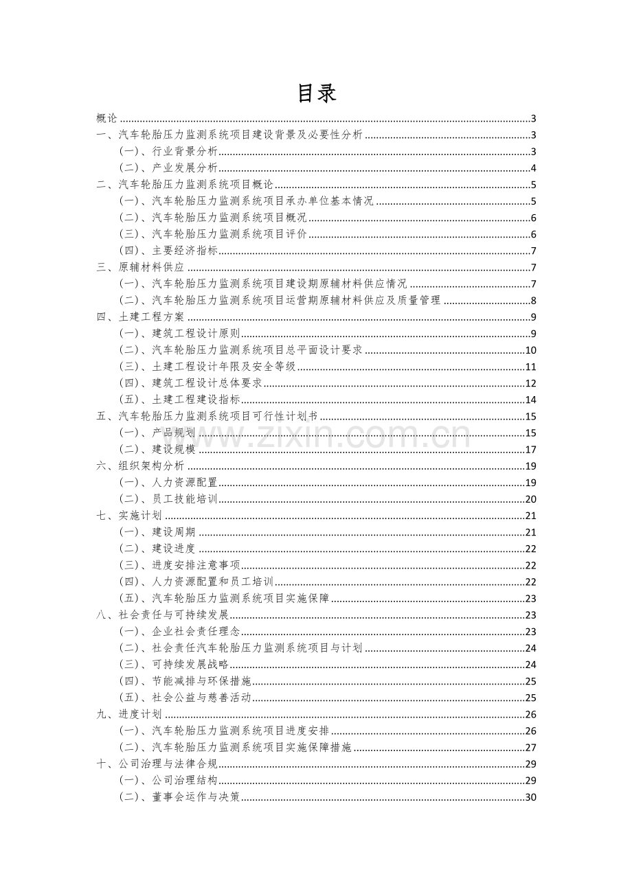 2025年汽车轮胎压力监测系统项目可行性方案.docx_第2页