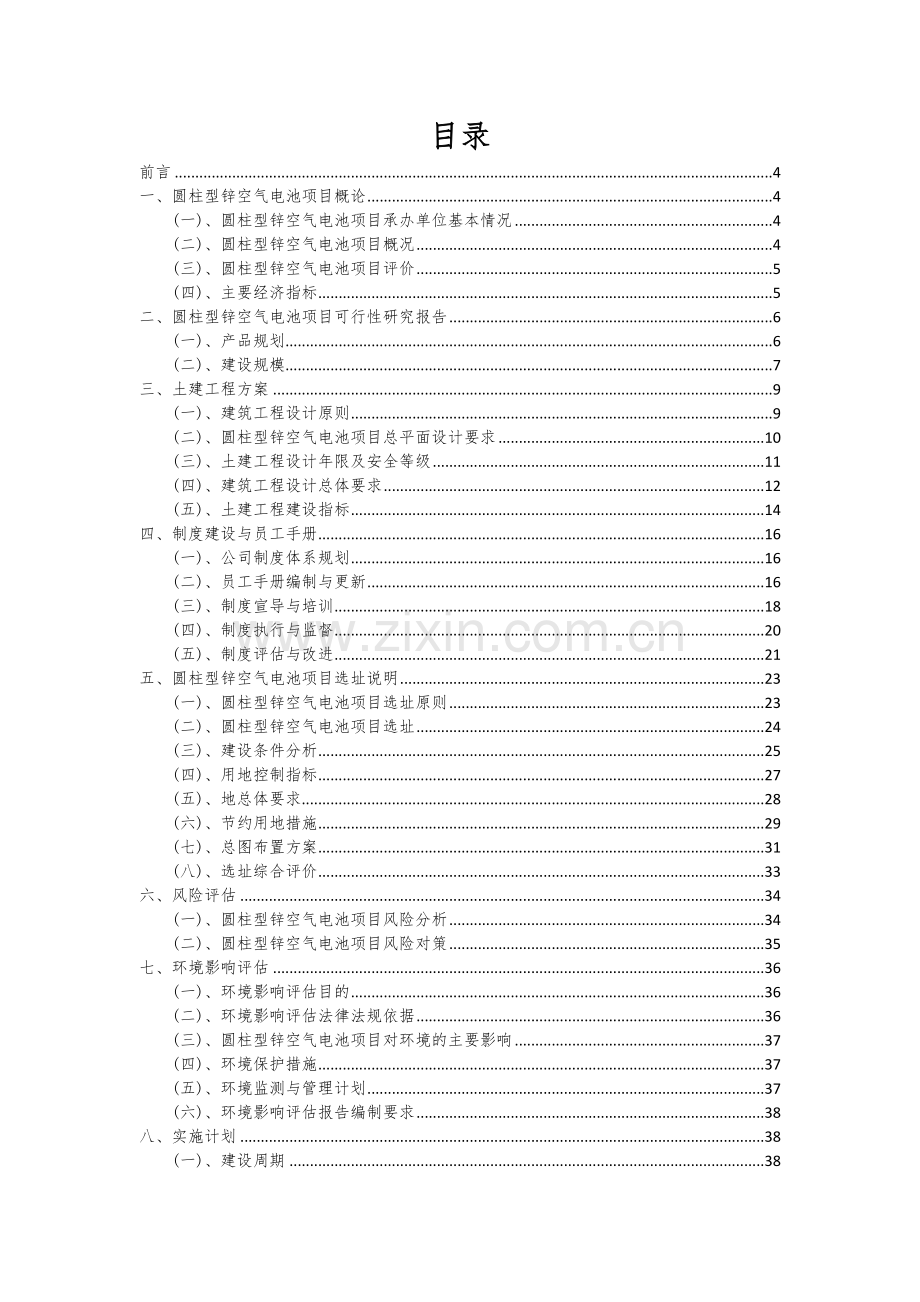 2024年圆柱型锌空气电池项目投资分析及可行性报告.docx_第2页