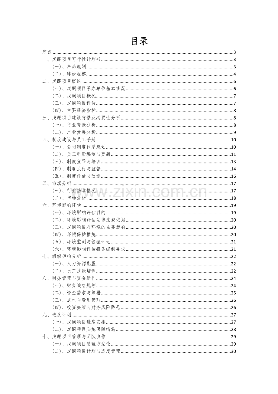 2025年度戊酮项目可行性方案.docx_第2页