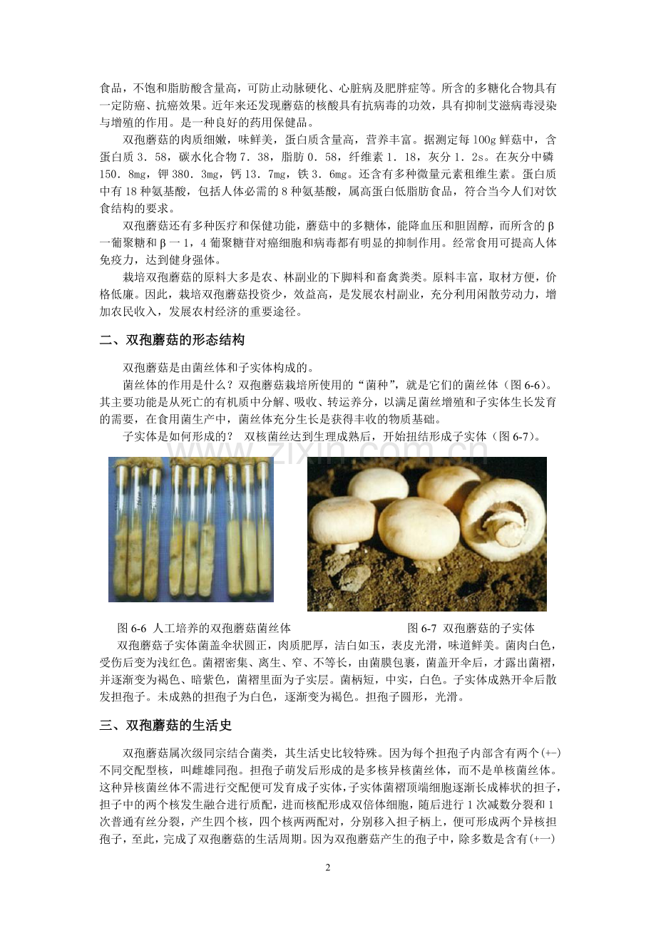 毕业设计-常见食用菌栽培技术-.doc_第2页