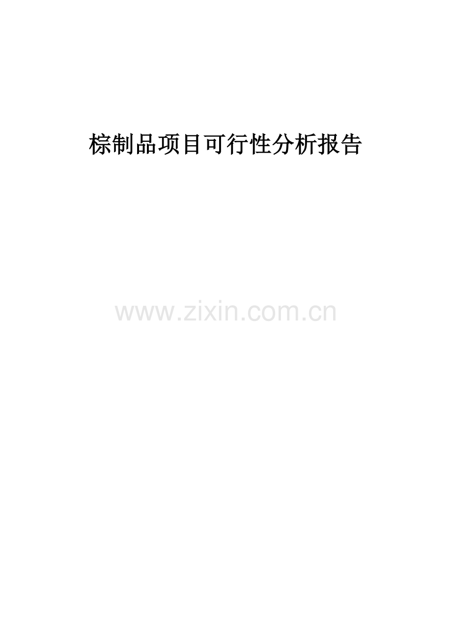 2024年棕制品项目可行性分析报告.docx_第1页