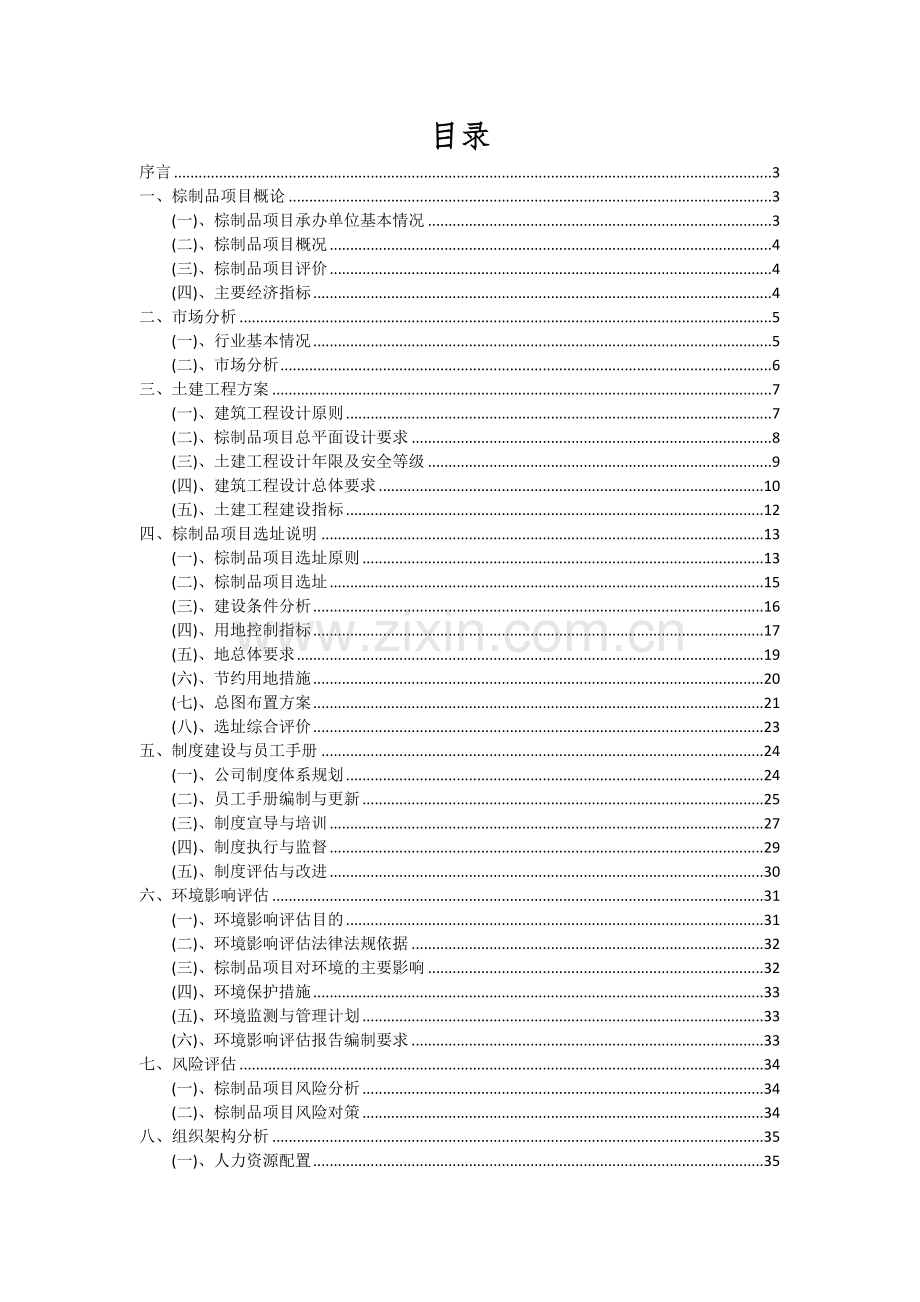 2024年棕制品项目可行性分析报告.docx_第2页