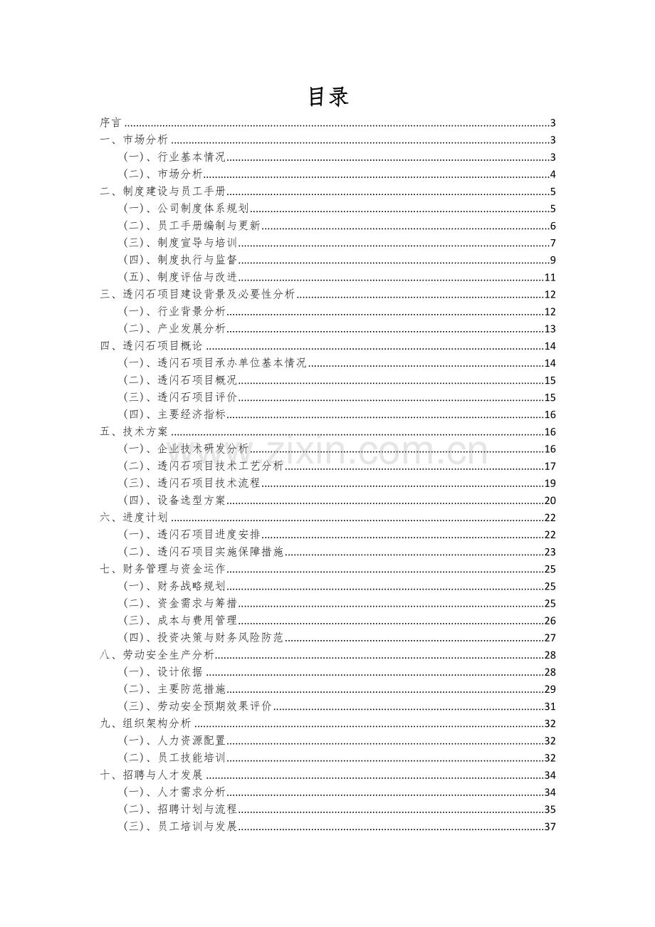 2024年透闪石项目可行性分析报告.docx_第2页