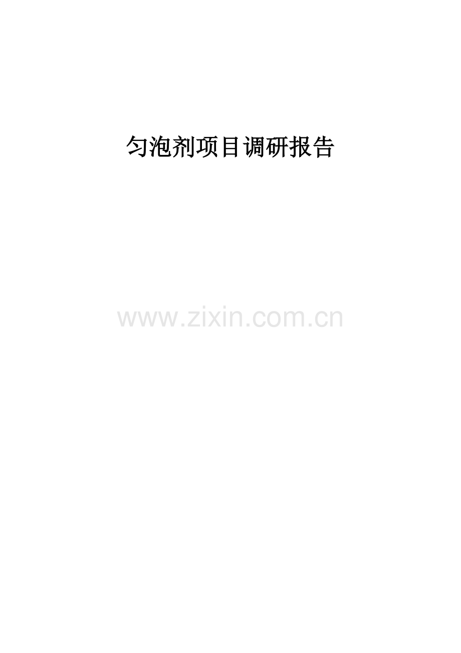 2025年匀泡剂项目调研报告.docx_第1页