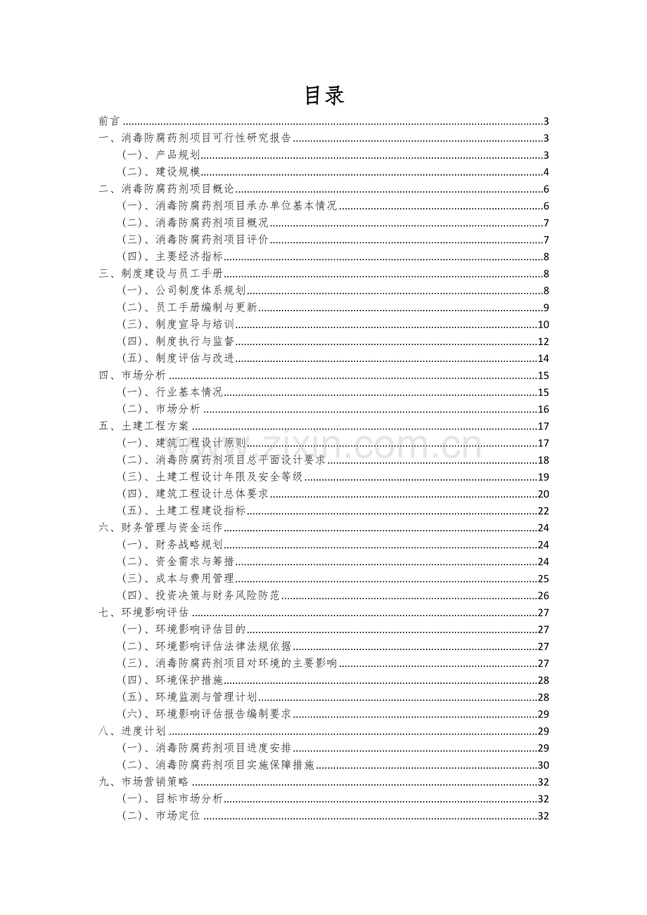 2024年消毒防腐药剂项目投资分析及可行性报告.docx_第2页