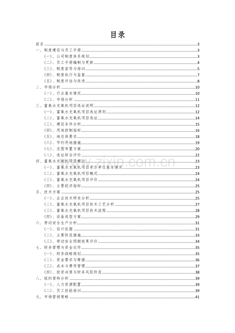 2024年富氧水充氧机项目可行性研究报告.docx_第2页