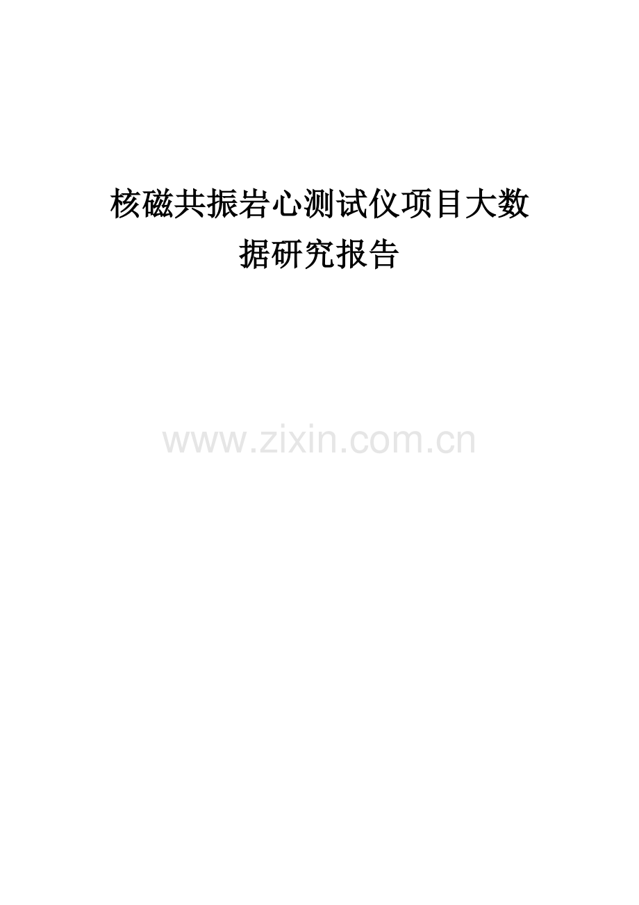 2025年核磁共振岩心测试仪项目大数据研究报告.docx_第1页