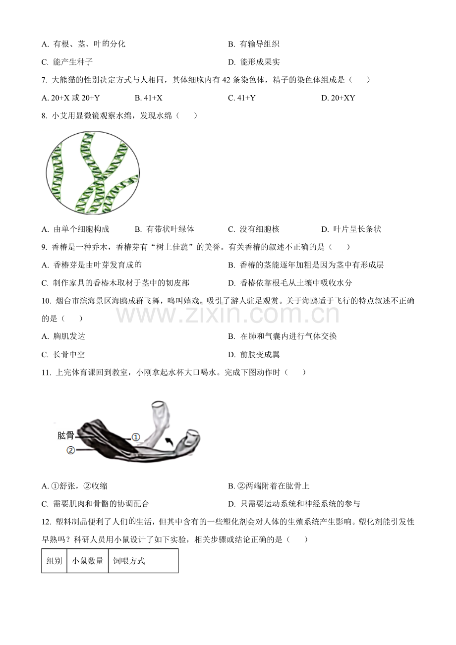 2024年山东省烟台市中考生物真题（原卷版）.docx_第2页