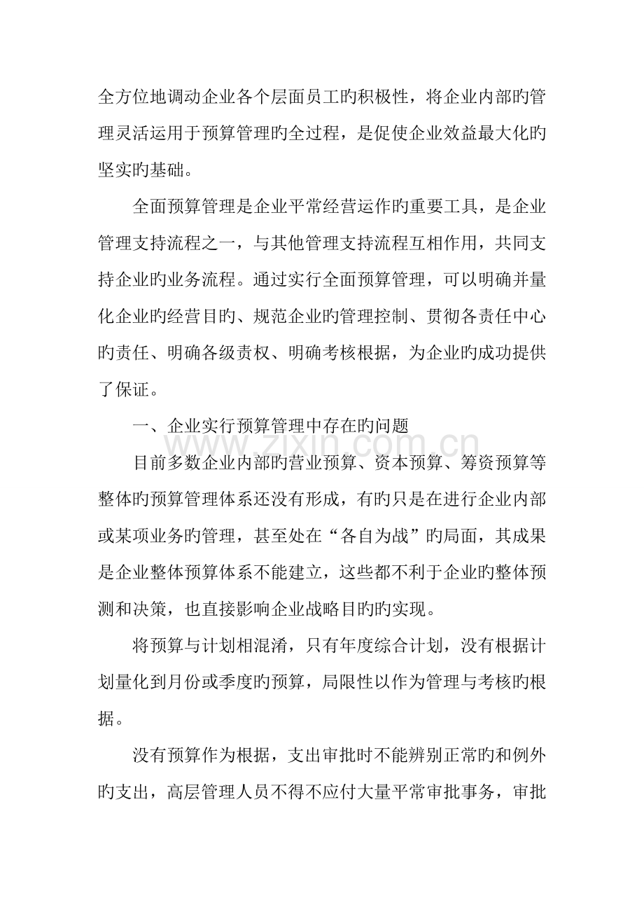 公司预算管理体系的建立以及成绩考核的规划.docx_第2页