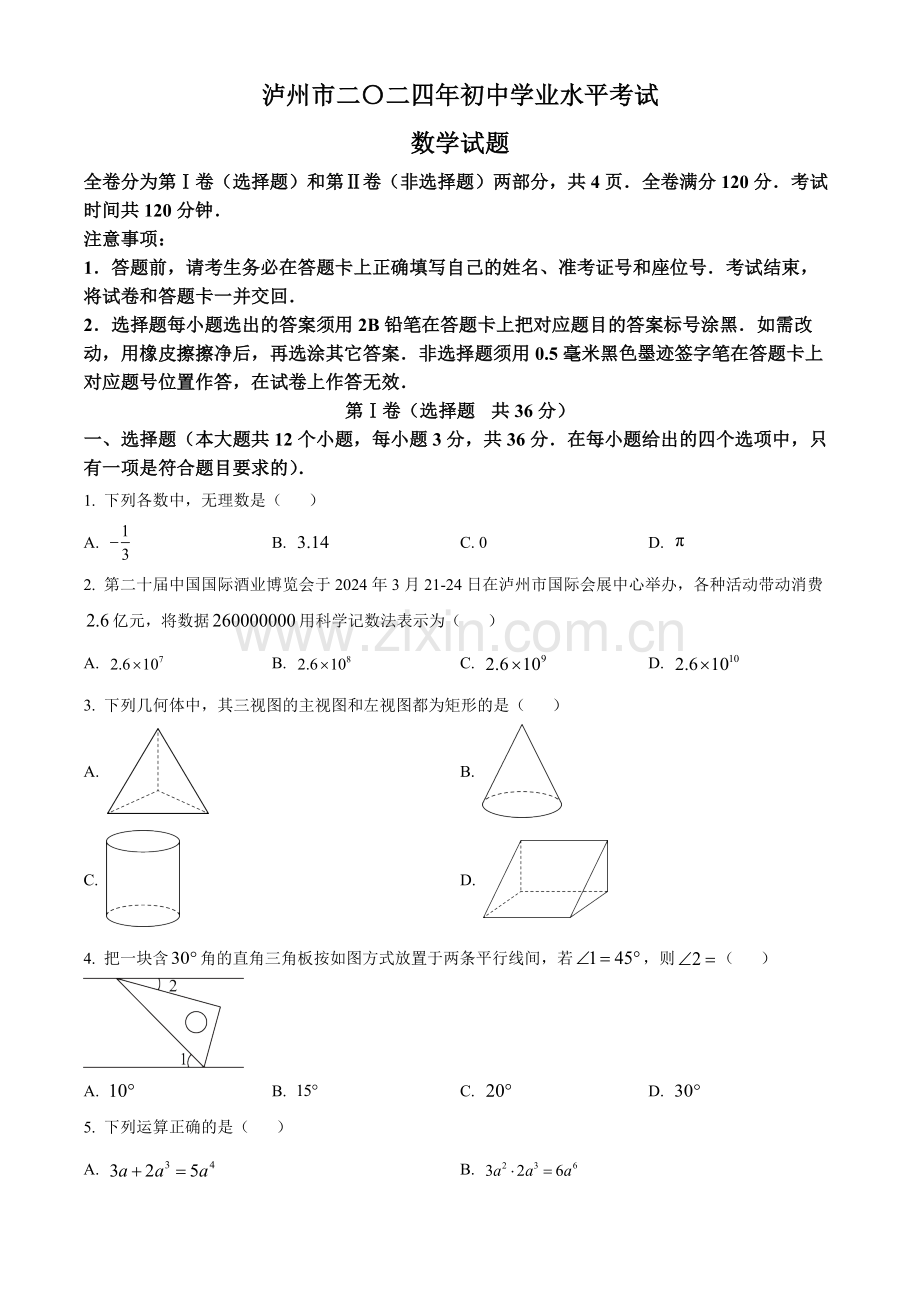 2024年四川省泸州市中考数学真题（原卷版）.docx_第1页