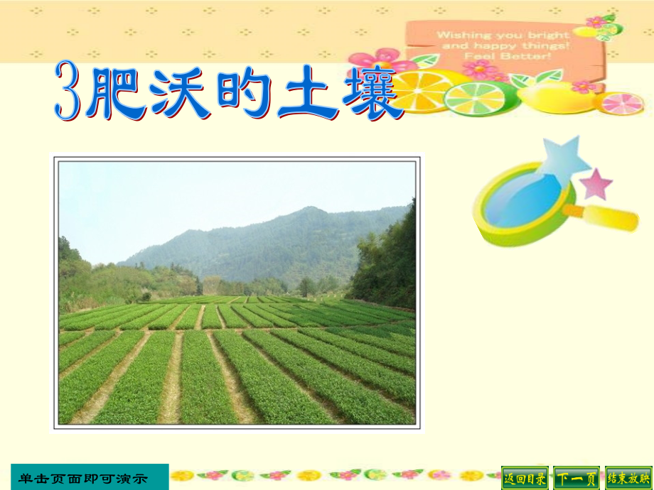 肥沃的土壤.pptx_第1页