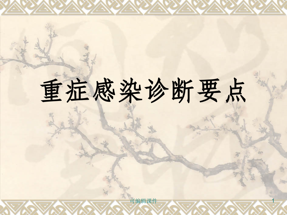 重症感染诊断要点课件.ppt_第1页