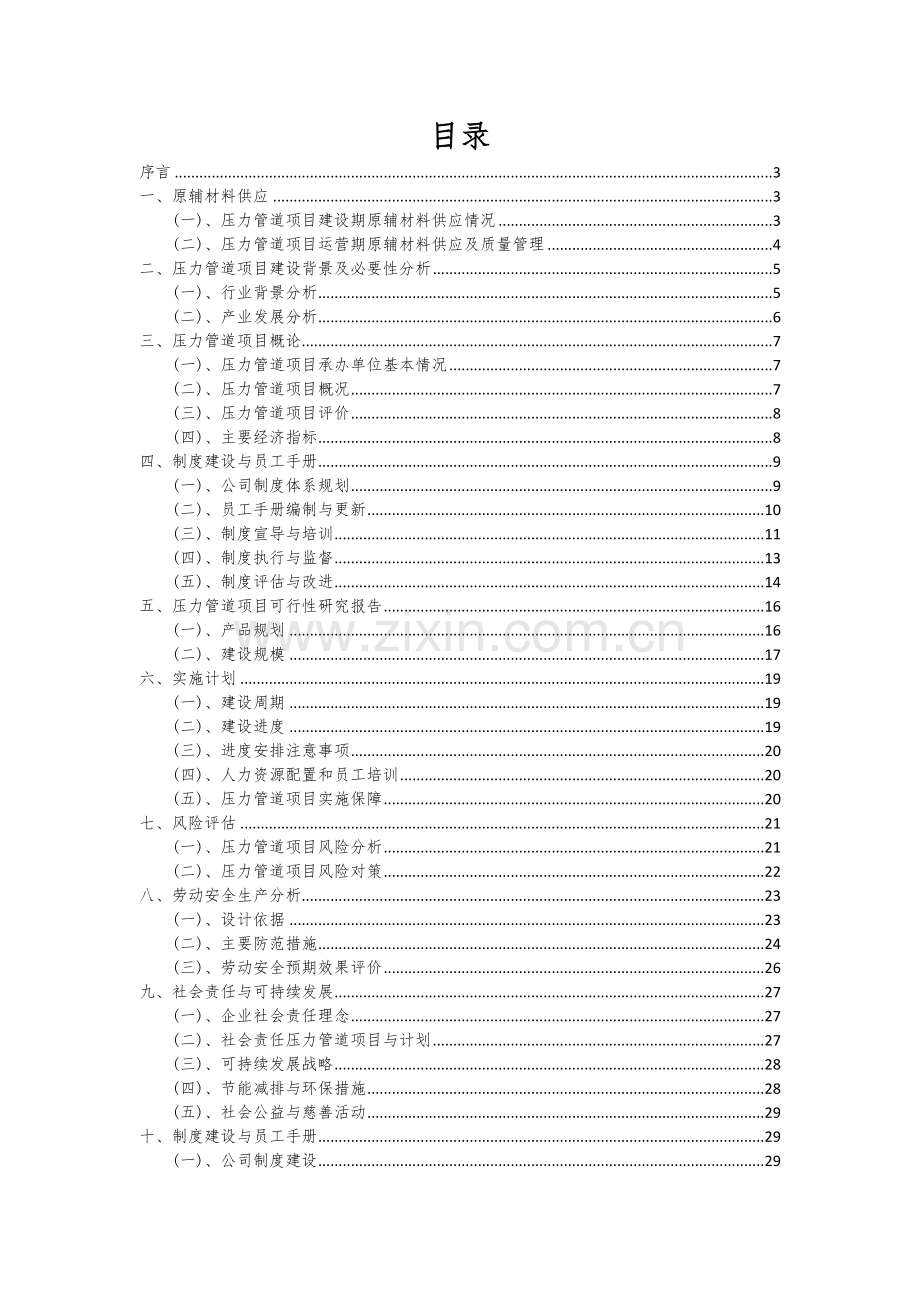 2024年压力管道项目可行性研究报告.docx_第2页