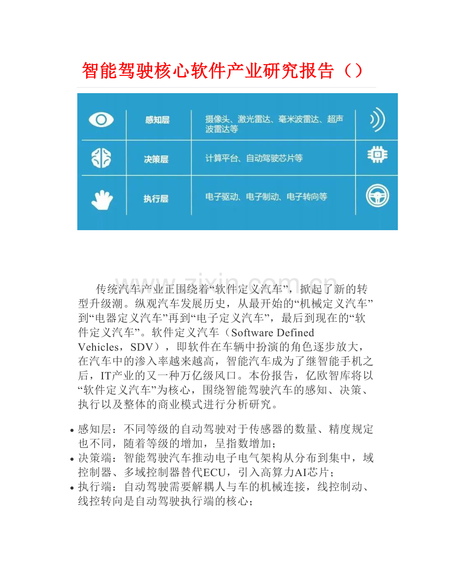 2025年智能驾驶核心软件产业研究报告.doc_第1页