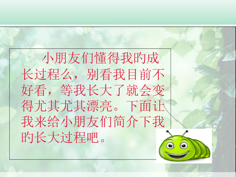 毛毛虫的演变过程.pptx_第2页