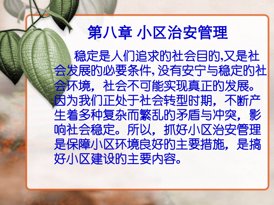 社区治安管理.pptx_第1页