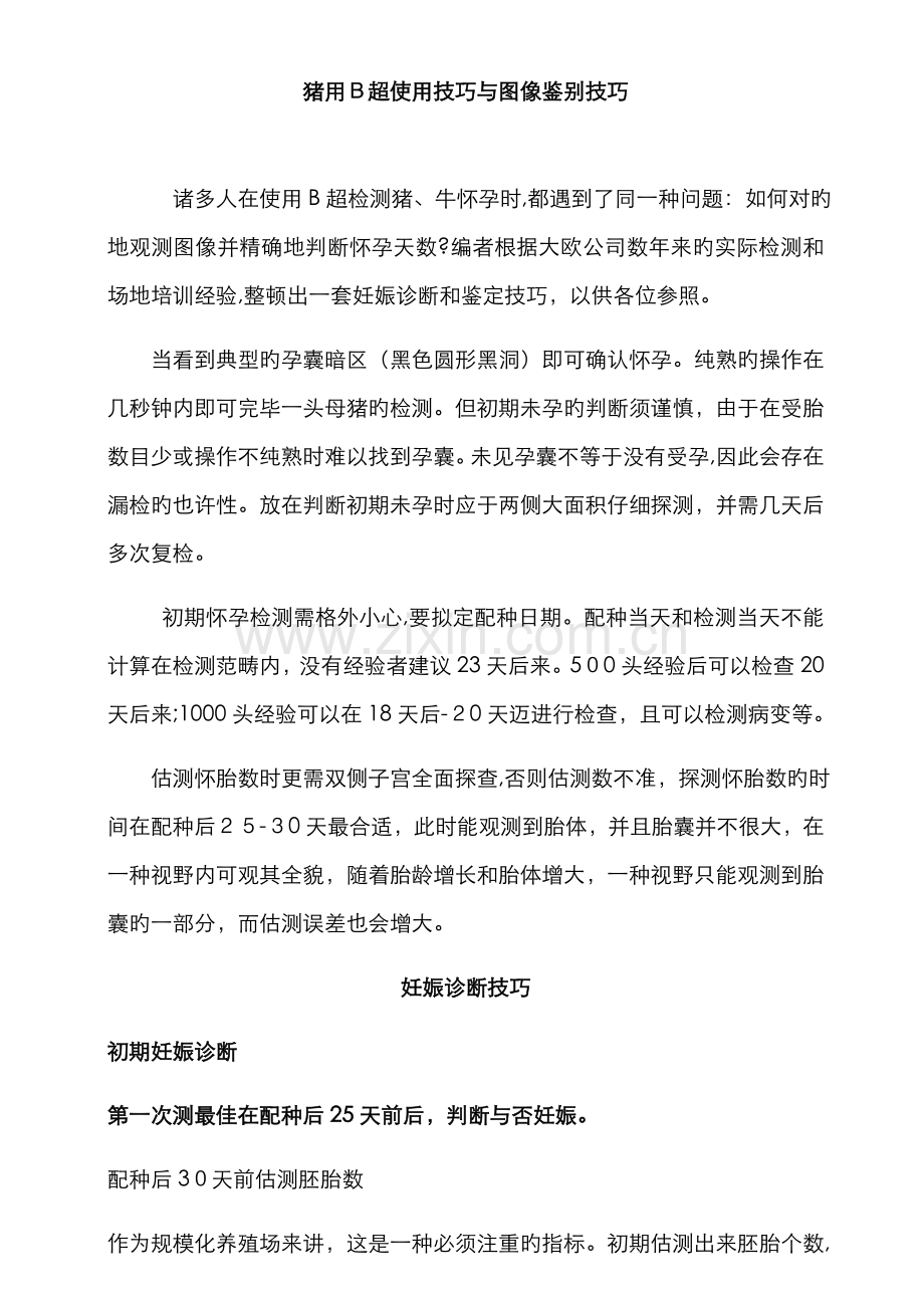 猪用B超使用技巧与图像判别技巧.doc_第1页