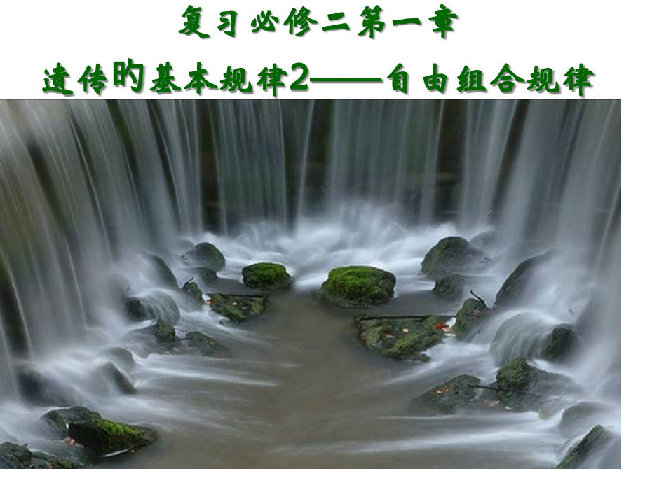 高三一轮复习基因自由组合规律.pptx_第1页