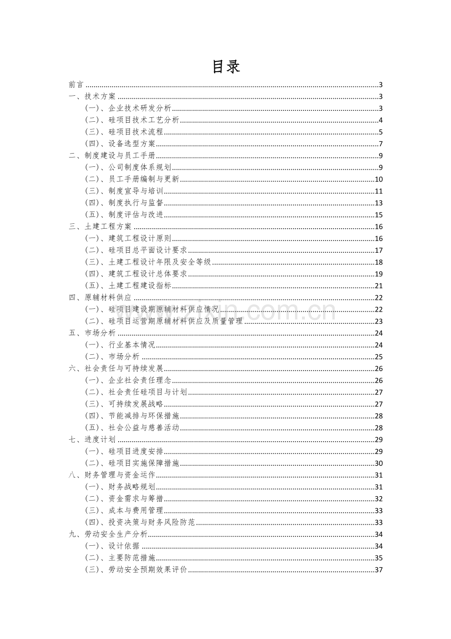 2025年硅项目可行性方案.docx_第2页