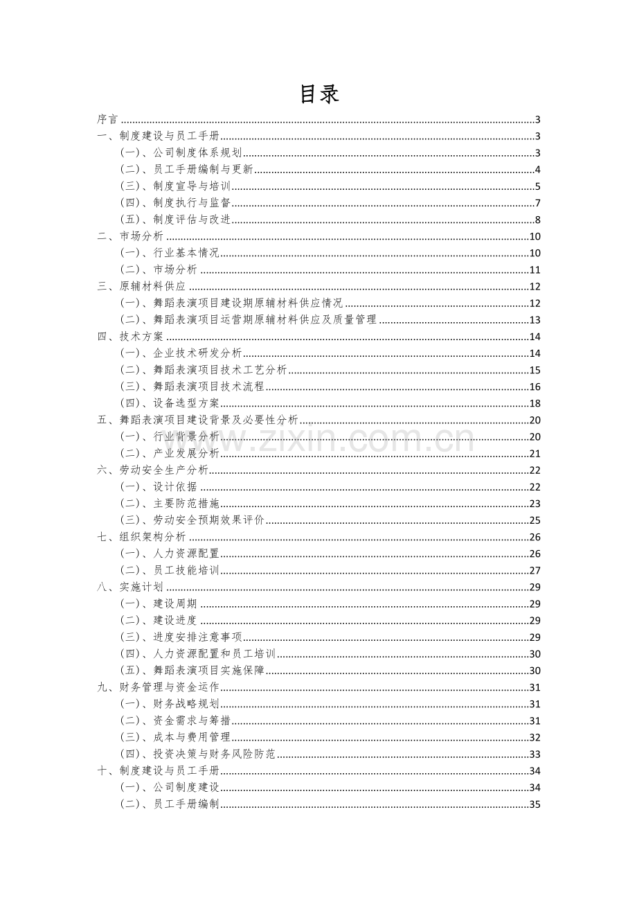 2024年舞蹈表演项目可行性研究报告.docx_第2页