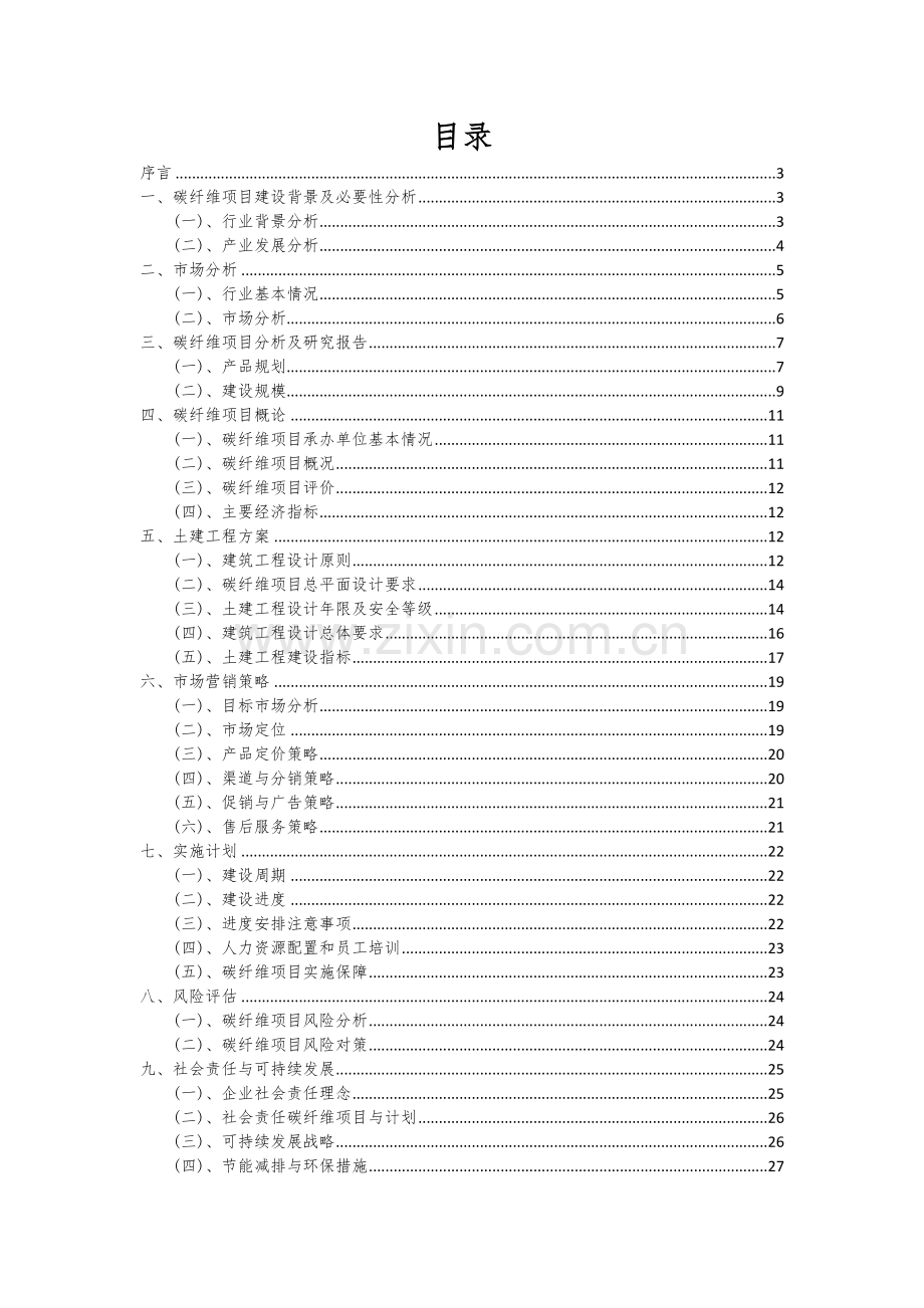 2025年碳纤维项目大数据研究报告.docx_第2页